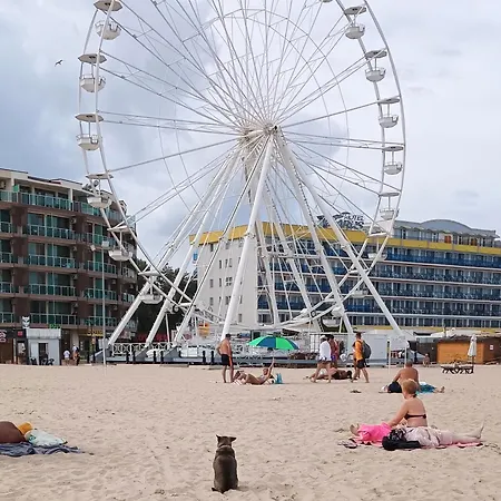 アパート Excelsior 3*